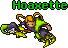 Hoaxette