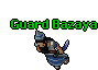Guard Bazaya