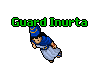 Guard Inurta