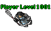 Player Level 1001