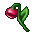 Bloodkiss Flower